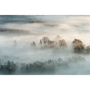 Umělecká fotografie Winter fog, Marco Galimberti, (40 x 26.7 cm)