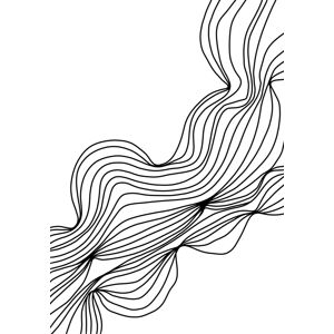 Ilustrace Black lines, Veronika Boulová, (26.7 x 40 cm)