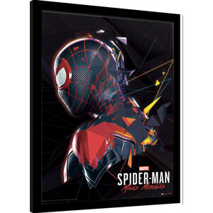 Obraz na zeď - Spider-Man Miles Morales - System Shock