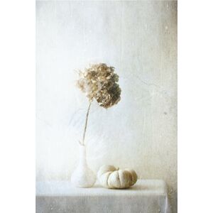 Umělecká fotografie Autumn Feelings, Delphine Devos, (26.7 x 40 cm)