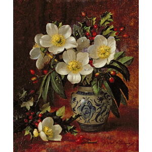 Williams, Albert - Obrazová reprodukce AB249 Still Life of Christmas Roses and Holly, (35 x 40 cm)