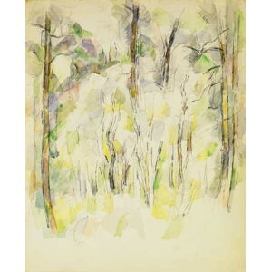 Cezanne, Paul - Obrazová reprodukce Woodland Scene, (35 x 40 cm)