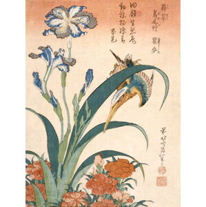 Hokusai, Katsushika - Obrazová reprodukce Kingfisher, (30 x 40 cm)