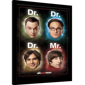 Obraz na zeď - The Big Bang Theory (Teorie Velkého Třesku) - Dr Mr