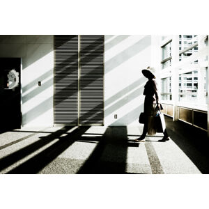 Umělecká fotografie The Daydream, Tetsuya Hashimoto, (40 x 26.7 cm)
