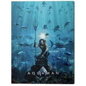 Obraz na plátně Aquaman - Teaser, (60 x 80 cm)