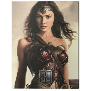 Obraz na plátně Justice League Movie - Wonder Woman, (60 x 80 cm)