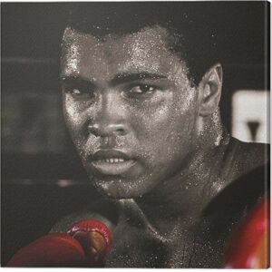 Obraz na plátně Muhammad Ali - Boxing Gloves, (40 x 40 cm)