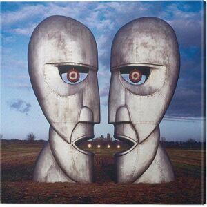 Obraz na plátně Pink Floyd - The Divison Bell, (40 x 40 cm)