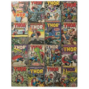 Obraz na plátně Thor - Covers, (60 x 80 cm)