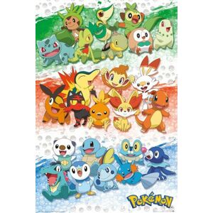 Plakát, Obraz - Pokemon - First Partners, (61 x 91.5 cm)