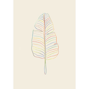 Ilustrace Banana Rainbow Leaf, Studio Collection, (26.7 x 40 cm)