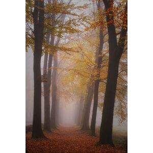 Umělecká fotografie Autumn magic, Saskia Dingemans, (26.7 x 40 cm)
