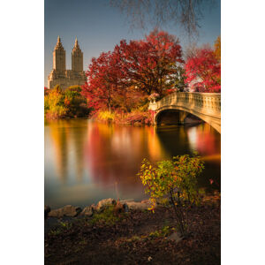 Umělecká fotografie Fall in Central Park, Christopher R. Veizaga, (26.7 x 40 cm)