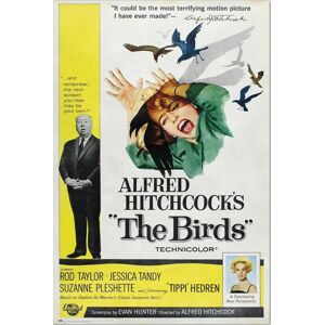 Plakát, Obraz - Alfred Hitchcock - The Birds, (61 x 91.5 cm)