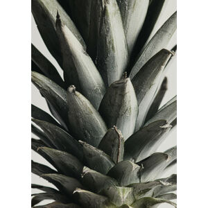 Umělecká fotografie Pineapple close up, Studio Collection, (26.7 x 40 cm)