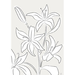 Ilustrace Lillies No 03, Studio Collection, (26.7 x 40 cm)