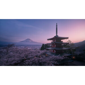 Umělecká fotografie Mt Fuji Sakura, Javier de la, (40 x 22.5 cm)