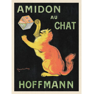 Obrazová reprodukce Amidon Au Chat (Vintage Cat) - Leonetto Cappiello, (30 x 40 cm)