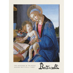 Obrazová reprodukce The Madonna & The Book - Sandro Botticelli, (30 x 40 cm)
