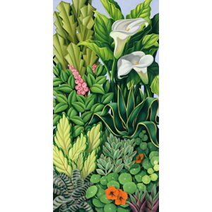 Abel, Catherine - Obrazová reprodukce Foliage I, 2003, (20 x 40 cm)
