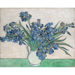Obrazová reprodukce Irises, 1890, Vincent van Gogh, 40 × 30 cm