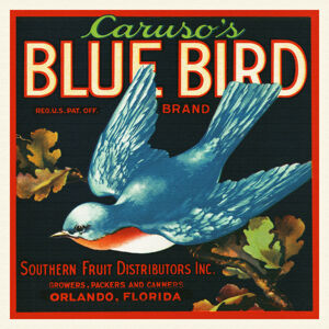 Obrazová reprodukce Caruso's Blue Bird Brand (Colourful Retro Graphic / Vintage Fruit & Fresh Produce Advertisement) - Florida Crate Labels, (40 x 40