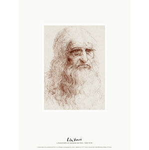 Obrazová reprodukce Self Portrait (L'Autoritratto di Leonardo da Vinci) - Leonardo da Vinci, (30 x 40 cm)