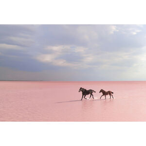 Umělecká fotografie pink salt lake, Suleyman Uzumcu, (40 x 26.7 cm)