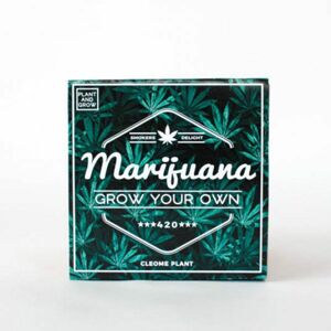 Vypěstuj si vlastní "Marihuanu"