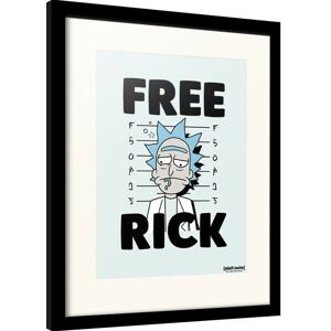 Obraz na zeď - Rick and Morty - Free Rick