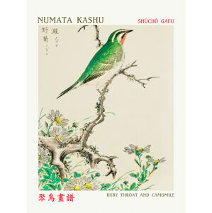 Obrazová reprodukce Ruby Throat & Camomile (Asian Birds) - Numata Kashu, (30 x 40 cm)
