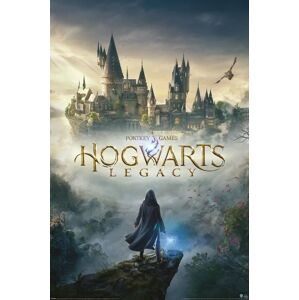Plakát, Obraz - Harry Potter - Hogwarts Legacy, (61 x 91.5 cm)