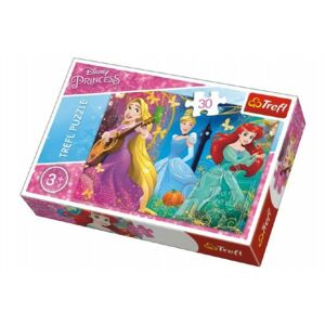 Puzzle Princezny Disney 27x20cm 30 dílků v krabičce 21x14x4cm