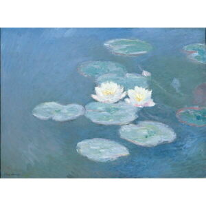 Monet, Claude - Obrazová reprodukce Waterlilies, Evening, (40 x 30 cm)