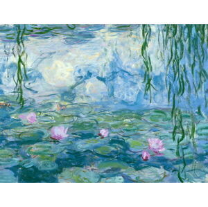 Monet, Claude - Obrazová reprodukce Waterlilies, 1916-19, (40 x 30 cm)