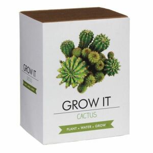 Grow it - Kaktus