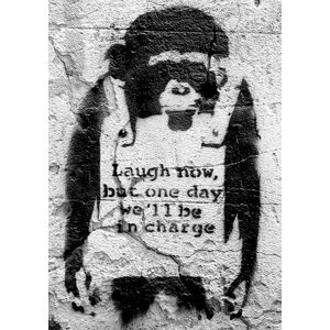 Plakát, Obraz - Banksy street art - chimp, (42 x 59 cm)