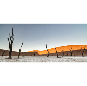 Umělecká fotografie Namibian desert, Luigi Ruoppolo, (50 x 22.5 cm)
