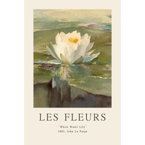 Obrazová reprodukce White Water Lily (Les Fleurs / The Flower Collection), (26.7 x 40 cm)