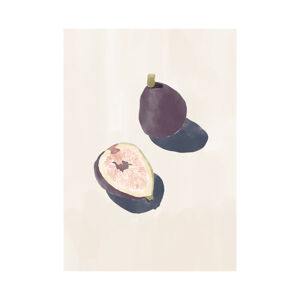 Ilustrace Figs, Sophie Bek, (30 x 40 cm)