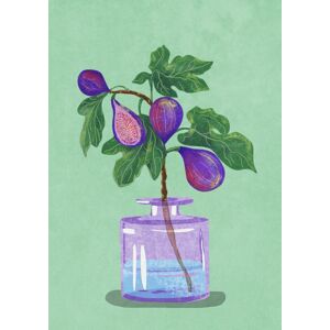 Ilustrace Figs Branch In Vase, Raissa Oltmanns, (30 x 40 cm)