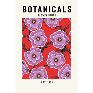 Ilustrace Botanicals Flower Study, jay stanley, (26.7 x 40 cm)