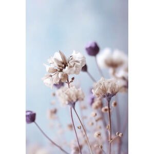 Umělecká fotografie Pastel Dry Flowers No 4, Treechild, (26.7 x 40 cm)
