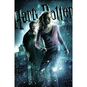 Umělecký tisk Harry Potter and The Half-Blood Prince - Hermione, (26.7 x 40 cm)