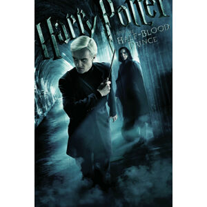 Umělecký tisk Harry Potter and The Half-Blood Prince - Draco Malfoy, (26.7 x 40 cm)
