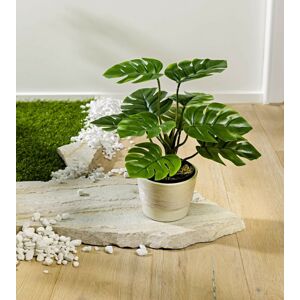 Magnet 3Pagen Rostlina "Monstera"