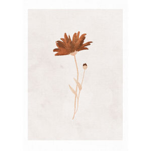 Ilustrace Wildflower, Goed Blauw, (26.7 x 40 cm)