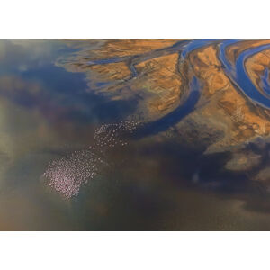 Umělecká fotografie Aerial Flamingo, Yun Wang, (40 x 30 cm)