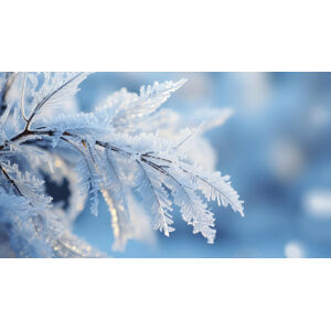 Umělecká fotografie Winter impressions 6, Treechild, (40 x 22.5 cm)